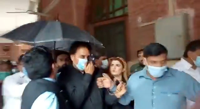 شہباز گل پر انڈے اور سیاہی